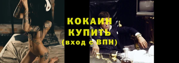 индика Белоозёрский