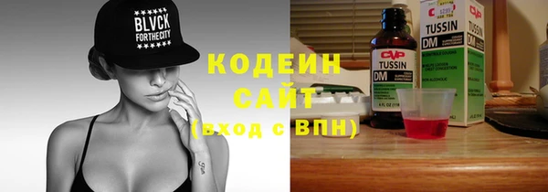 индика Белоозёрский