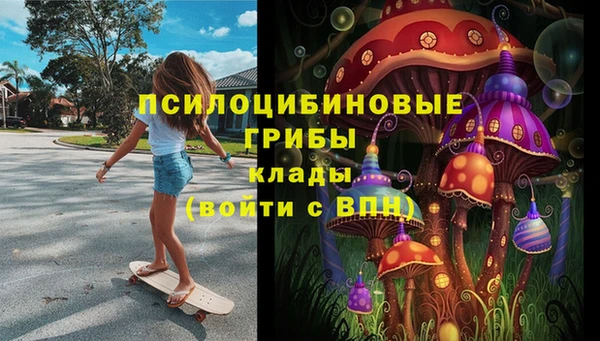 мяу мяу мука Беломорск
