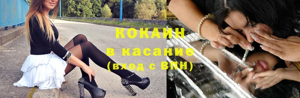 индика Белоозёрский