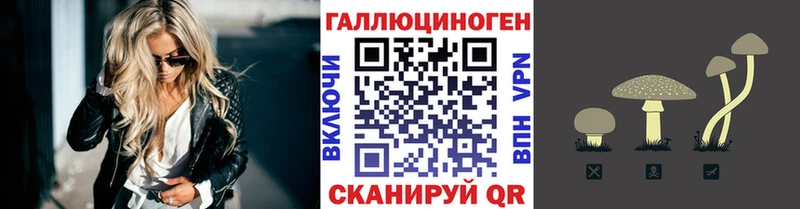 Галлюциногенные грибы GOLDEN TEACHER  Купить закладки  Свободный 